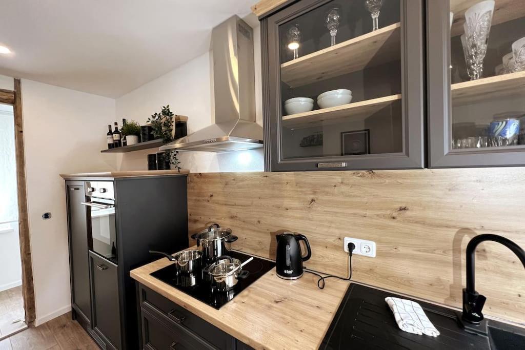 Ar Apartments III I 4 Pers I Modern I Schillerapartment Rudolstadt Eksteriør bilde
