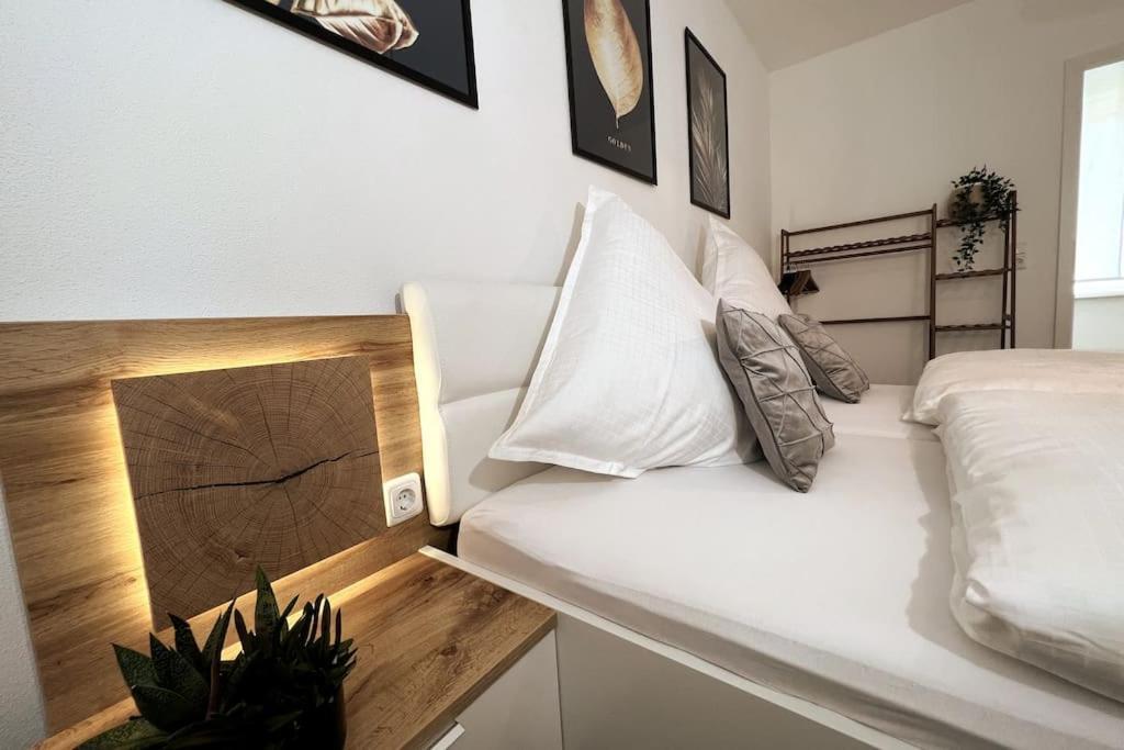 Ar Apartments III I 4 Pers I Modern I Schillerapartment Rudolstadt Eksteriør bilde